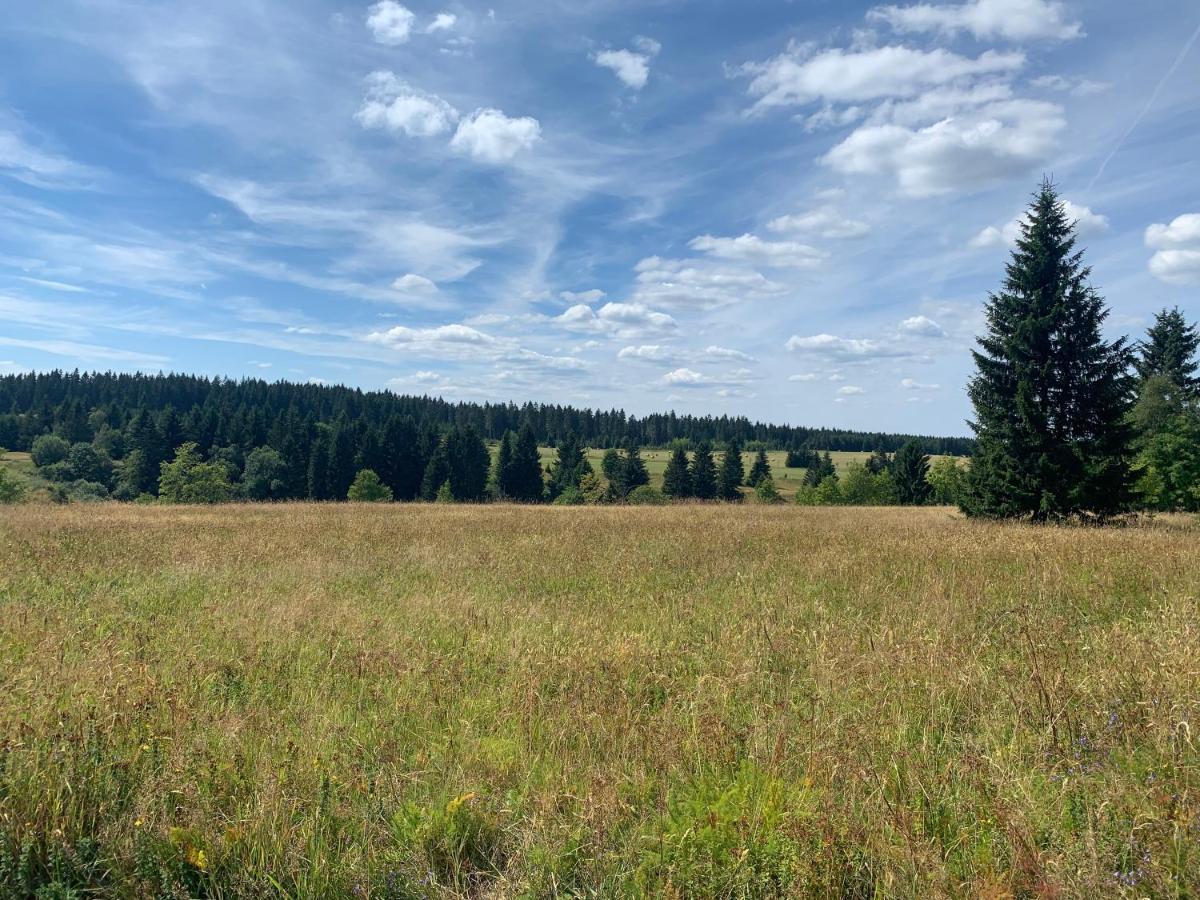 Ubytovani U Mateje Horní Blatná Kültér fotó