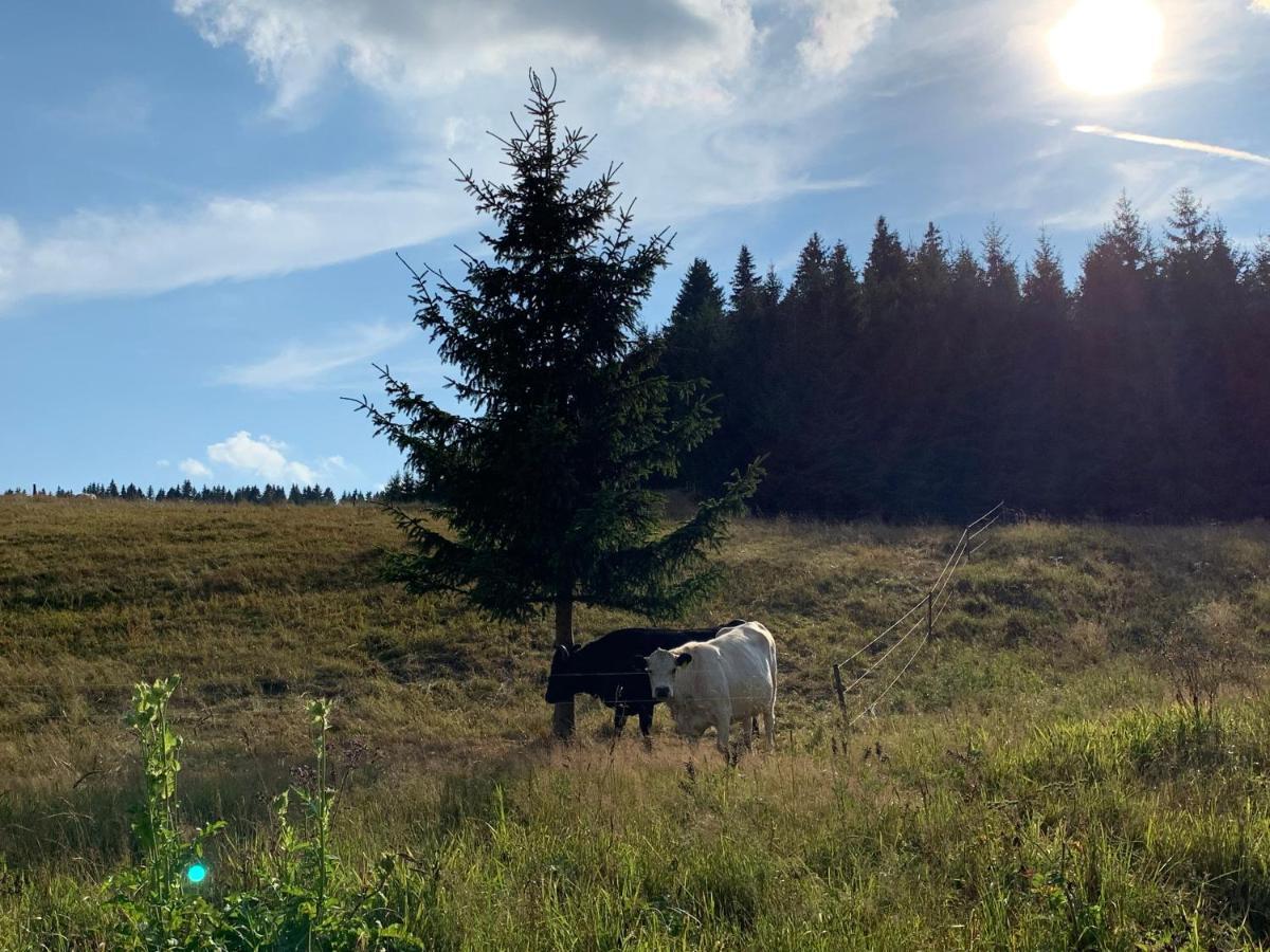 Ubytovani U Mateje Horní Blatná Kültér fotó